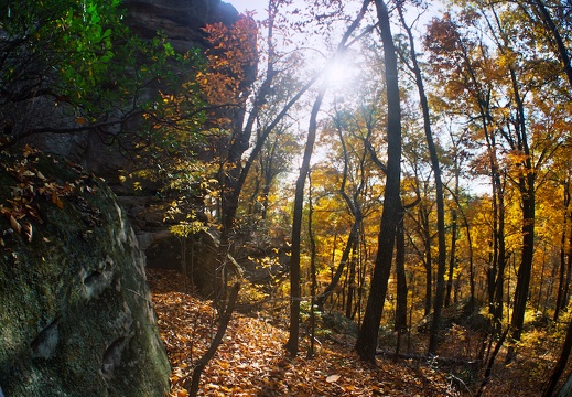 October in the Bluegrass